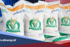 Kabar Gembira! Bansos Beras Disalurkan Langsung Buat 3 Bulan