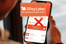 Rupanya Hal Ini Jadi Penyebab Shopee Paylater Tidak Bisa Digunakan