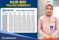 Hanya KUR BRI Bulan November Bisa Pinjam Rp 50 Juta dengan Angsuran Rp 85 Ribu, Ini Cara Mendapatkannya
