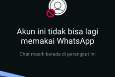 Panduan Anti Sadap, Langkah Mudah Bikin Akun WhatsApp Kebal Hack
