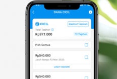 Ingin Pakai DANA Cicil? Gampang, Ikuti Langkah-langkah Mudahnya di Sini