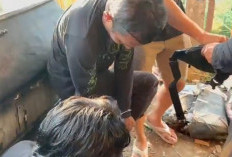 Ditresnarkoba Polda Bengkulu Tangkap Mangcek Sueb Asal Tangga Buntung Palembang 