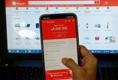 DC Lapangan Shopee Berkeliaran, Ini Tahapannya Sebelum Datang ke Rumah Anda