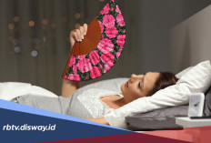 Kamar Panas saat Malam? Coba Cara Sederhana Ini Tanpa AC 