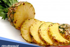 12 Manfaat Buah Nanas untuk Kesehatan dan Kecantikan, Nomor 8 Masih Banyak yang Tidak Tahu