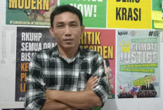 Walhi Kecam dan Sayangkan Tindakan Masyarakat Tebang Pohon di Pantai Panjang