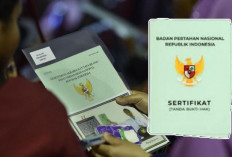 Mohon Maaf! 10 Jenis Surat Tanah Ini Tak Berlaku Lagi Mulai 2026, Segera Ubah Sebelum Telat