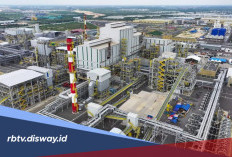 Buruan Daftar, PT Freeport Buka Lowongan Kerja Terbaru, Fresh Graduate Bisa Daftar