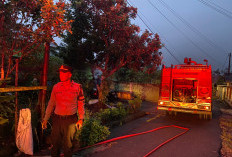 Rumah Warga di Timbul Rejo Curup Terbakar, Balita Usia 1 Tahun Meninggal Dunia