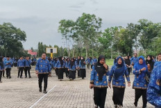 Ini Jadwal Pengukuhan PPPK Paruh Waktu Kabupaten Mukomuko