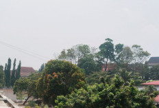 Penjelasan BMKG Tentang Kabut Asap Pagi Hari di Provinsi Bengkulu