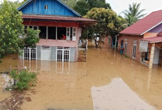 162 Rumah di Bengkulu Tengah Terdampak Banjir, Warga Mengungsi Sejak Senin Dini Hari
