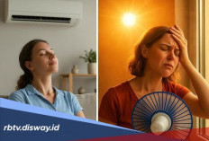 Cuaca Lagi Panas-panasnya, Begini Tips agar Rumah Tetap Sejuk Tanpa AC 