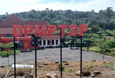 Dongkrak Harga TBS, Investor Baru Siap Bangun Pabrik CPO di Masmambang Seluma