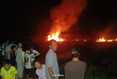 Heboh! Lahan Ilalang Dekat Pasar Sembayat Seluma Timur Terbakar