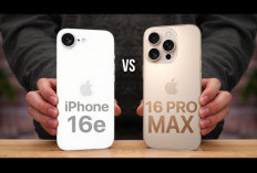 iPhone 16e vs iPhone 16 Pro Max, Intip Perbandingan Spesifikasi dan Harga Terbarunya