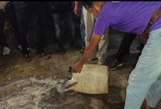 Patroli Jam Malam Ramadan, Kasatpol PP dan 2 Camat Temukan Kedai Bakso Jual Miras