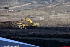 Bahaya Tambang Ilegal Bagi Lingkungan dan Cara Mengurus Izin Resminya