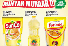 Ibu-ibu, Beli Minyak Goreng 2 Liter di Alfamart Lebih Murah, Buruan Serbu Promonya!