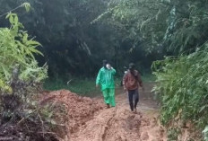 Longsor Di Desa Tik Kuto Sempat Tutup Akses Jalan Curup-Muara Aman, Upaya Pembersihan Masih Dilakukan