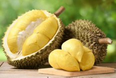 Tak Disangka! Ini 6 Manfaat Durian untuk Kecantikan, Kaya Nutrisi