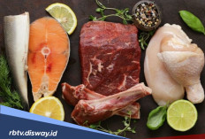 Catat Baik-baik, Ini Sumber Protein Hewani Terbaik Pengganti Telur untuk Balita