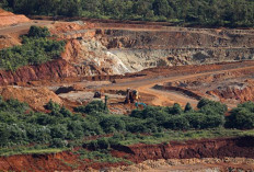 Sulawesi Selatan Memang Kaya Raya, Selain Nikel juga Simpan Harta Karun Ini 
