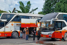 Harga Tiket Bus Harapan Jaya untuk Semua Rute, Siapkan Uang Segini 