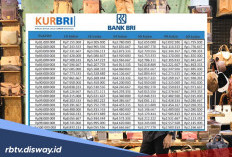 KUR BRI Mei 2026 Pinjaman Rp 135 Juta, Ini Rincian Berkas yang Wajib Ada saat Pengajuan