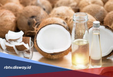3 Pilihan Cara Membuat Minyak Kelapa, Mudan dan Lebih Sehat