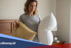 Cara Menghilangkan Bau Apek di Kamar Tidur Secara Alami dan Cepat dalam Semalam