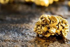 Gold Potential in West Sumatra, Indonesia, Could Produce 50 Kg per Day