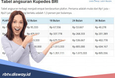 Tabel Kupedes BRI Mei 2026 Pinjaman Rp 15 Juta Suku Bunga Ringan