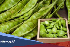 Cara Menyimpan Petai Agar Awet Berbulan-bulan, Tetap Segar dan Siap Masak Kapan Saja