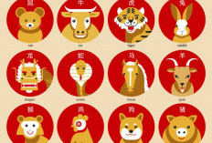 Siap-siap Tersenyum Bahagia, 3 Shio yang Diramal Hoki Terus Sepanjang 2026