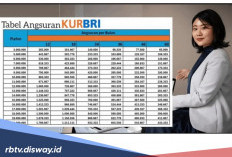 Besaran Angsuran Pinjaman KUR BRI Periode Mei 2026 Sebesar Rp 45 Juta Selama 3 Tahun