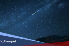 Bulan Ini Jangan Lewatkan Hujan Meteor Perseid dan Kappa Cygnid, Fenomena Alam yang Langka