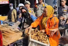 Penertiban Pedagang Kaki Lima di Pasar Panorama Kota Bengkulu