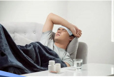 Jangan Dikit-dikit Minum Obat, Coba Tanaman Ini untuk Mengobati Demam