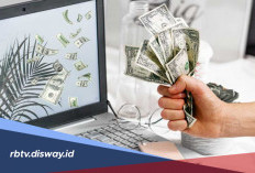 Aplikasi Ini Bikin Saldo DANA Kamu Gendut, Silakan Unduh dan Buktikan Sendiri