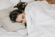 Tafsir Mimpi Kecoa Keluar dari Mulut Menurut Islam, Simbol Keberuntungan atau Pertanda Buruk?