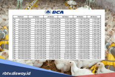 Cek di Sini, Tabel Angsuran Pinjaman KUR BCA Rp 150 Juta Cicilan Rp 2 Jutaan
