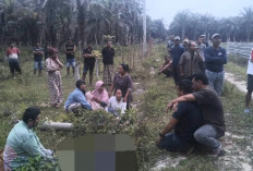 Warga Tawang Rejo Seluma Temukan Petani Meninggal di Parit Kebun, Motor Masih Terparkir