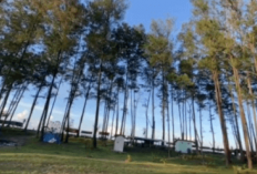 Pemkot Bengkulu Siapkan 20 Unit Gazebo Gratis untuk Pengunjung Pantai Panjang