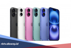 Daftar Harga iPhone per September 2026, Cek Incaran Kamu di Sini! 