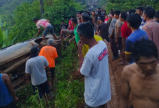 Tersangkut di Pohon, Mobil Kades Sinar Pagi Seluma Utara Nyaris Terjun ke Jurang
