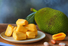 Bukan Cuma Lezat, Ini Manfaat Nangka untuk Kesehatan dan Kecantikan