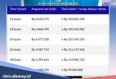 Begini Cara Membaca dan Menganalisis Tabel Angsuran Pinjaman KUR Rp 100 Juta