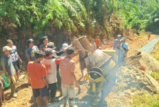 Demi Sang Guru Bisa Mengajar, Warga Eks Trans Semandep Seluma Gotong Royong Cor Jalan