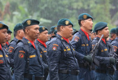 Pendaftaran CPNS Polhut 2026: Tata Cara Pendaftaran dan Jadwal Pelaksanaan